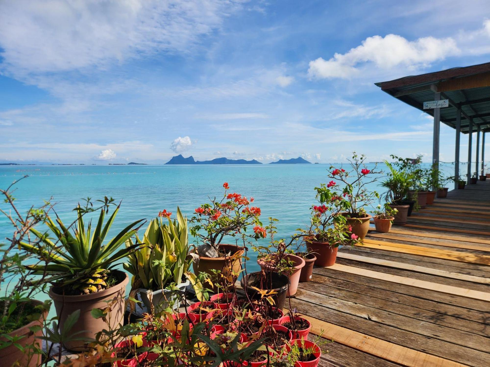 Bigfin Water Bungalow Hotell Semporna Eksteriør bilde